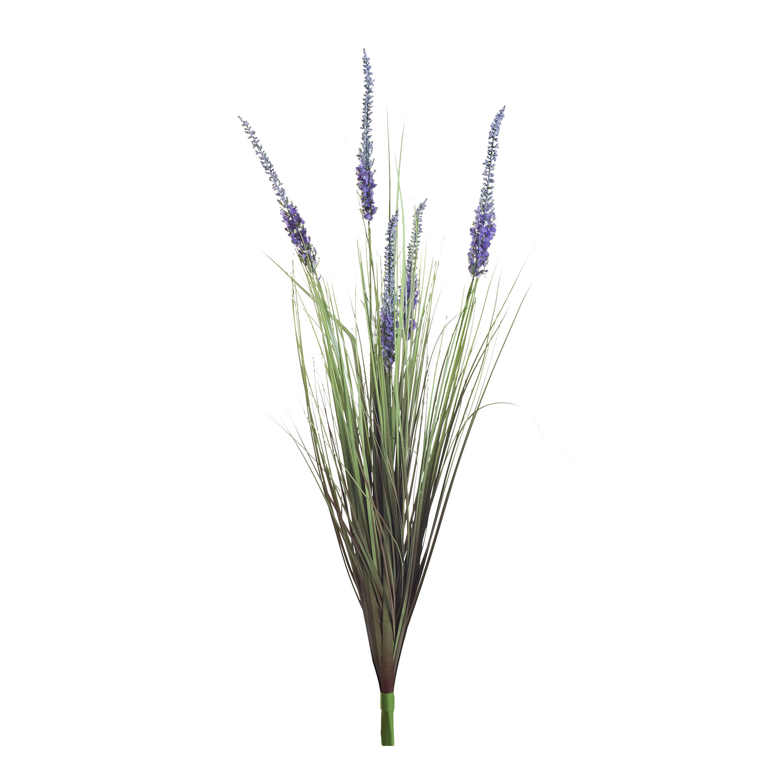 Вейник остроконечный синий 1