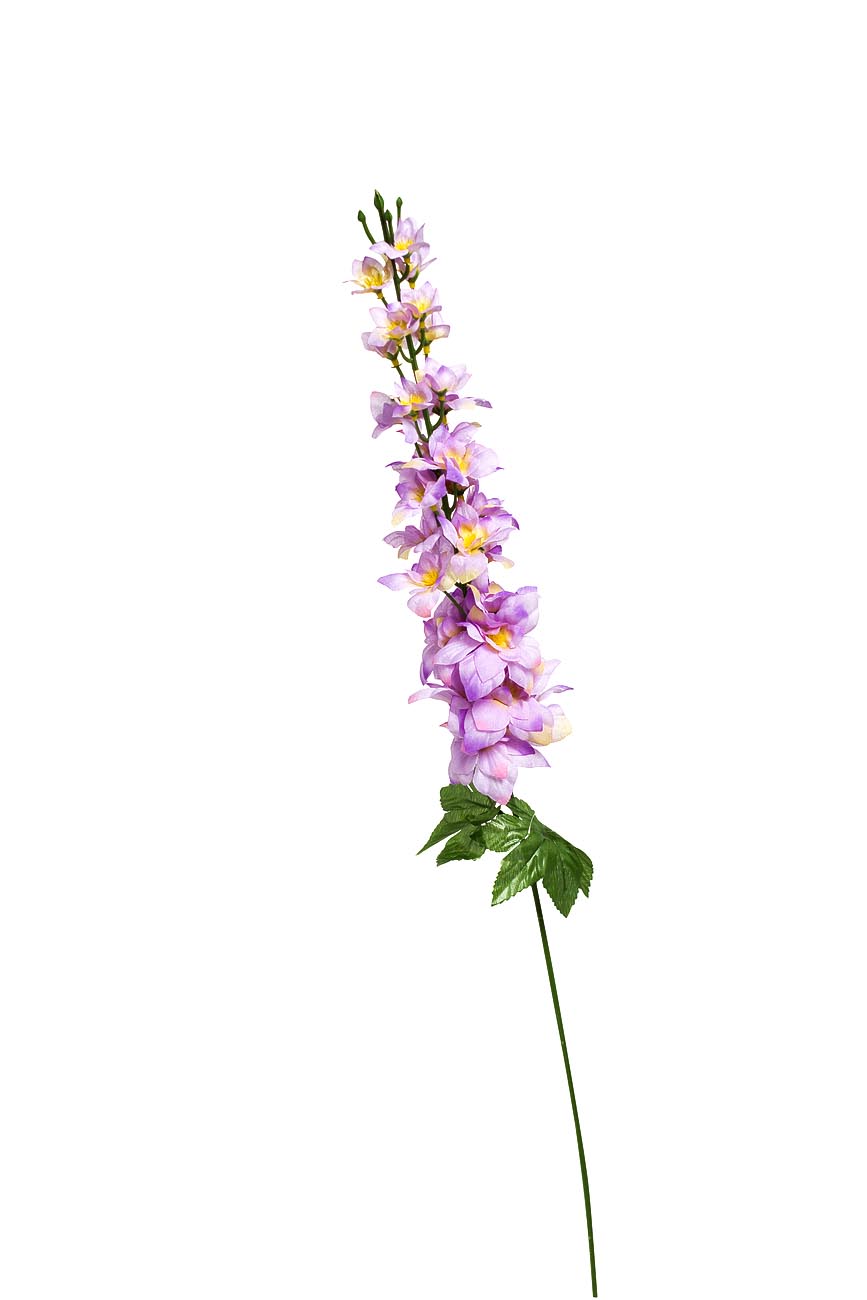 Дельфиниум сиреневый 1