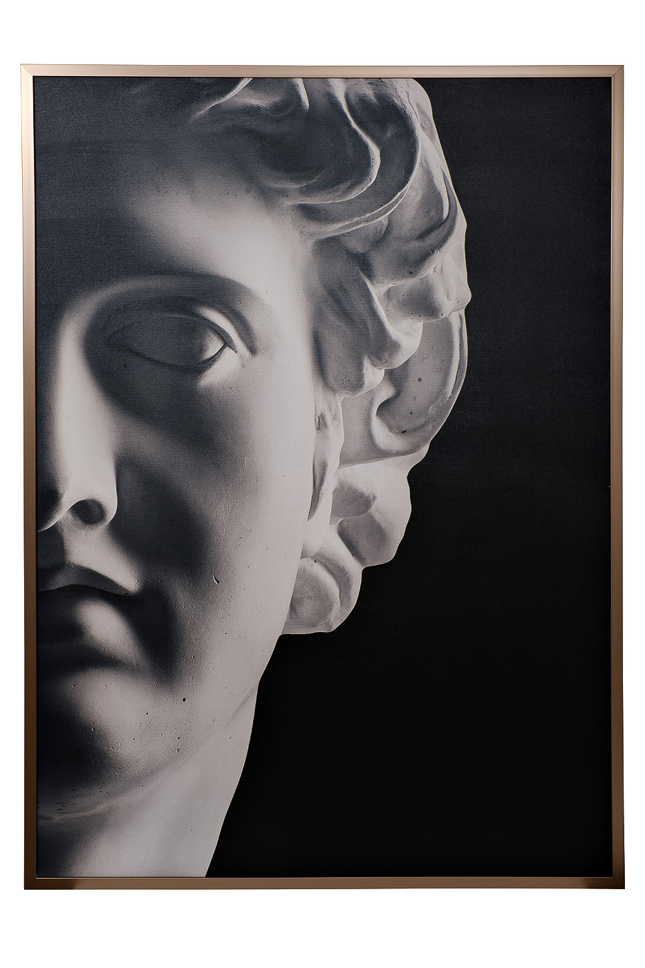 Холст «Аполлон-1» в багете латунь 1