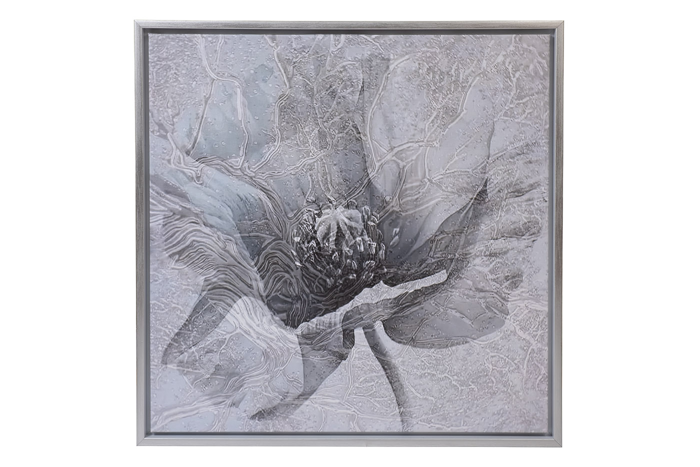 Холст «Голубой мак» в серебряном багете 1