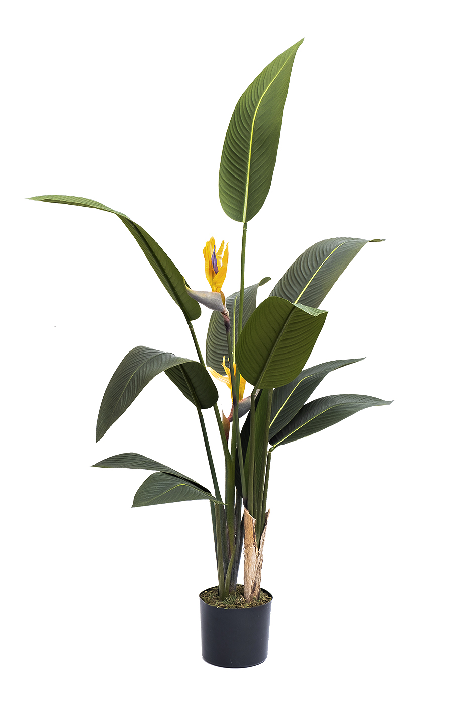 Куст стрелиции искусственный в горшке 1