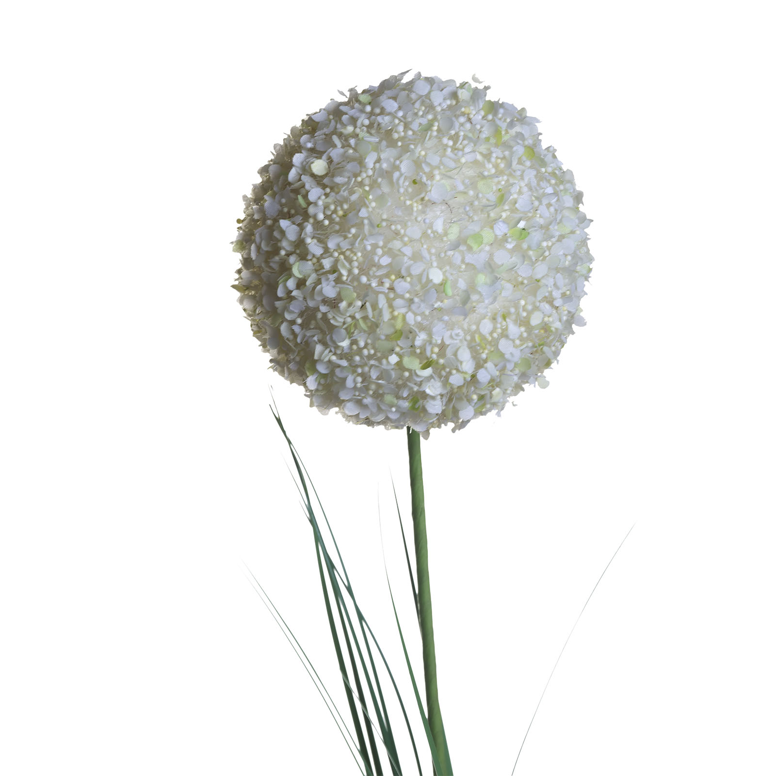 Алиум малый кремовый 1