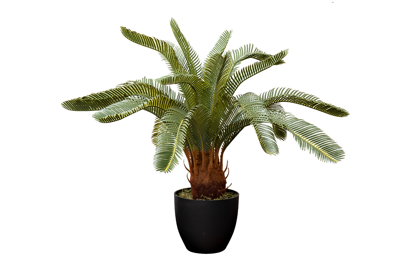 Пальма Cycas искусственная в горшке 1