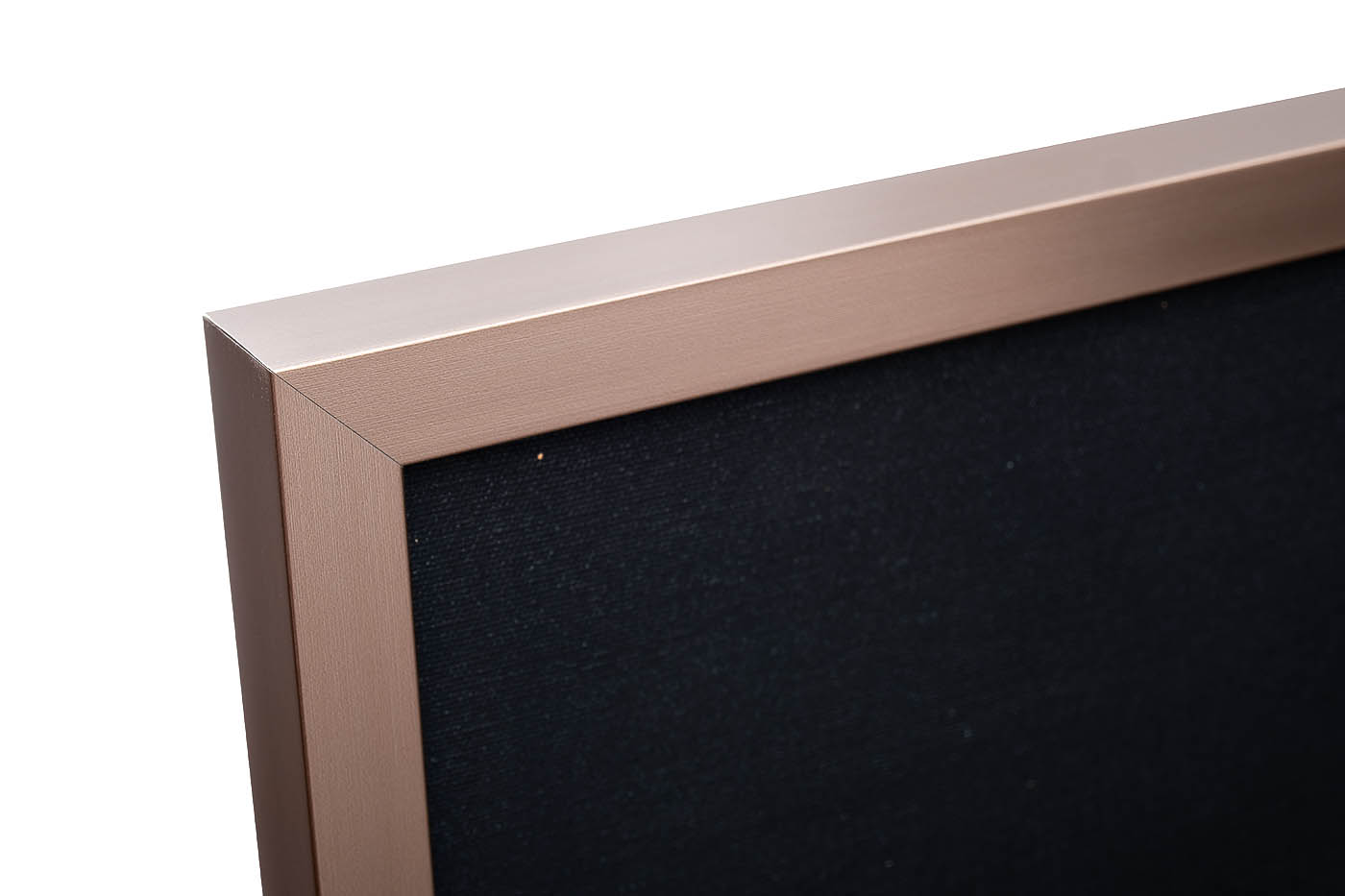 Холст «Девушка со змеей» в багете латунь 2