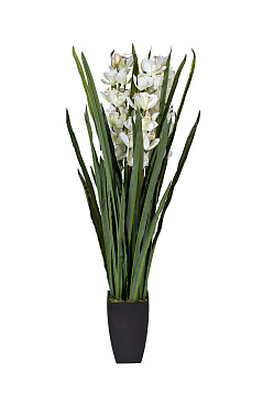 Орхидея Цимбидиум (Cymbidium) искусствнная белая в горшке