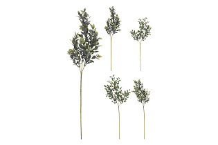 Ветка с листьями 1 (превью)