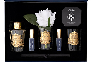 Набор подарочный Живая Вода (Eau De Vie) с диффузором ароматическим