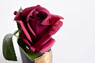 Диффузор ароматический Роза красная (Rose Bud Red)