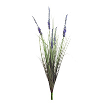 Вейник остроконечный синий