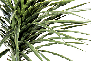 Юкка искусственная в горшке 2 (превью)