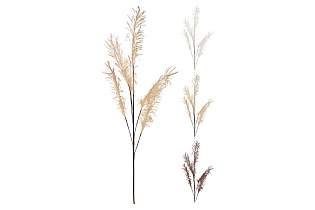 Ковыль 23см 1 (превью)