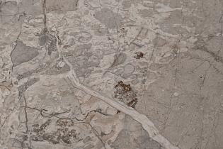 Стол журнальный Augustus Gray керамический