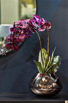 Орхидея бордовая в горшке 2 (превью)