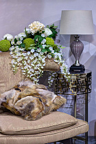 Лампа настольная (бежевый абажур)