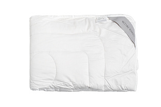 Одеяло «Лино» 200*220см термополотно Лен/лебяжий пух 1 (превью)