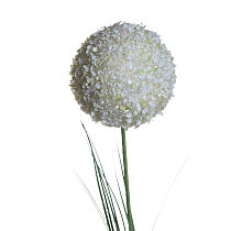 Алиум малый кремовый