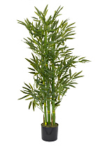 Дерево бамбука в горшке 1 (превью)