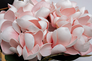 Диффузор ароматический Розовая Магнолия (Magnolia Pink)