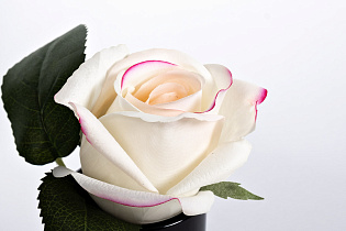 Диффузор ароматический Роза св.розовая (Rose Bud Pink)