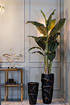 Кашпо черное с золотом 3 (превью)