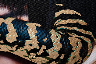 Холст «Девушка со змеей» в багете латунь 3 (превью)