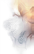 Холст "Мираж"