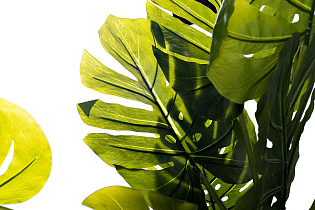 Монстера искусственная в горшке 2 (превью)