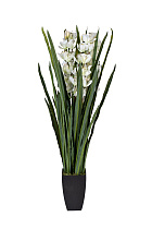 Орхидея Цимбидиум (Cymbidium) искусствнная белая в горшке